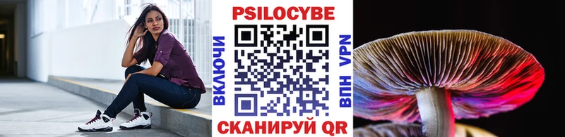 как найти наркотики  Черепаново  KRAKEN   Псилоцибиновые грибы Psilocybe 